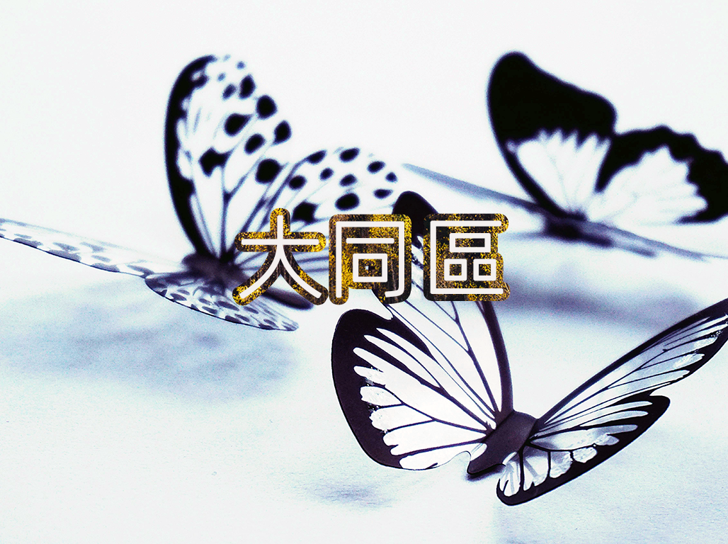 大同區