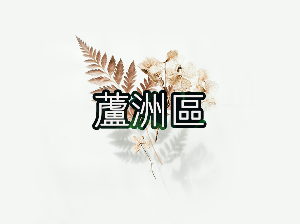 蘆洲區